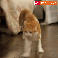 人気ブログランキングへ